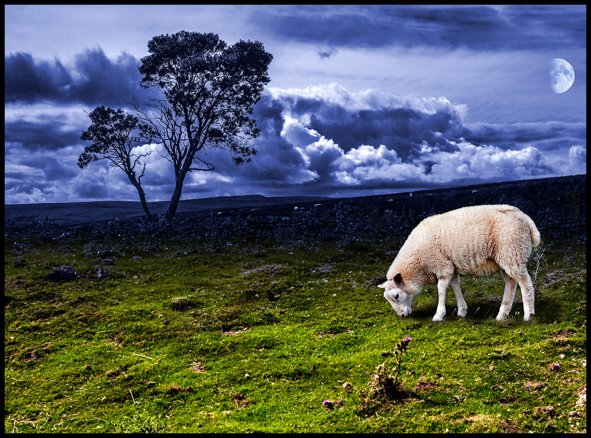 Second - Richard Green